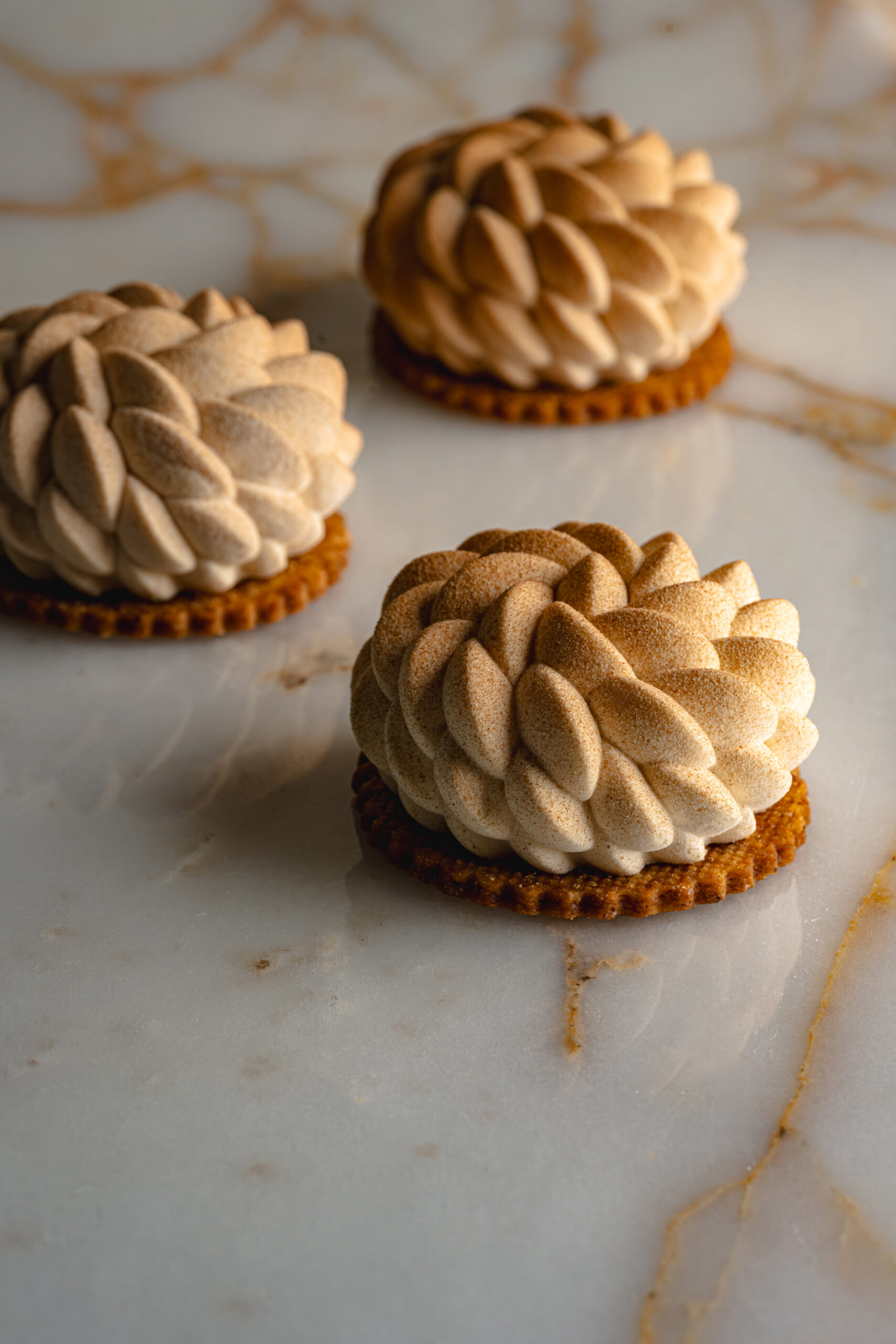 photo 2025.12.11 CORINA GHEORGHE – Platon Fotograf Culinar – 0743 66 88 31-214 photo 2025.12.11 CORINA GHEORGHE - Platon Fotograf Culinar - 0743 66 88 31-214